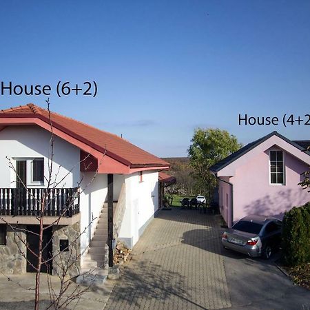 Holiday Home Janko Bogojina Exterior foto