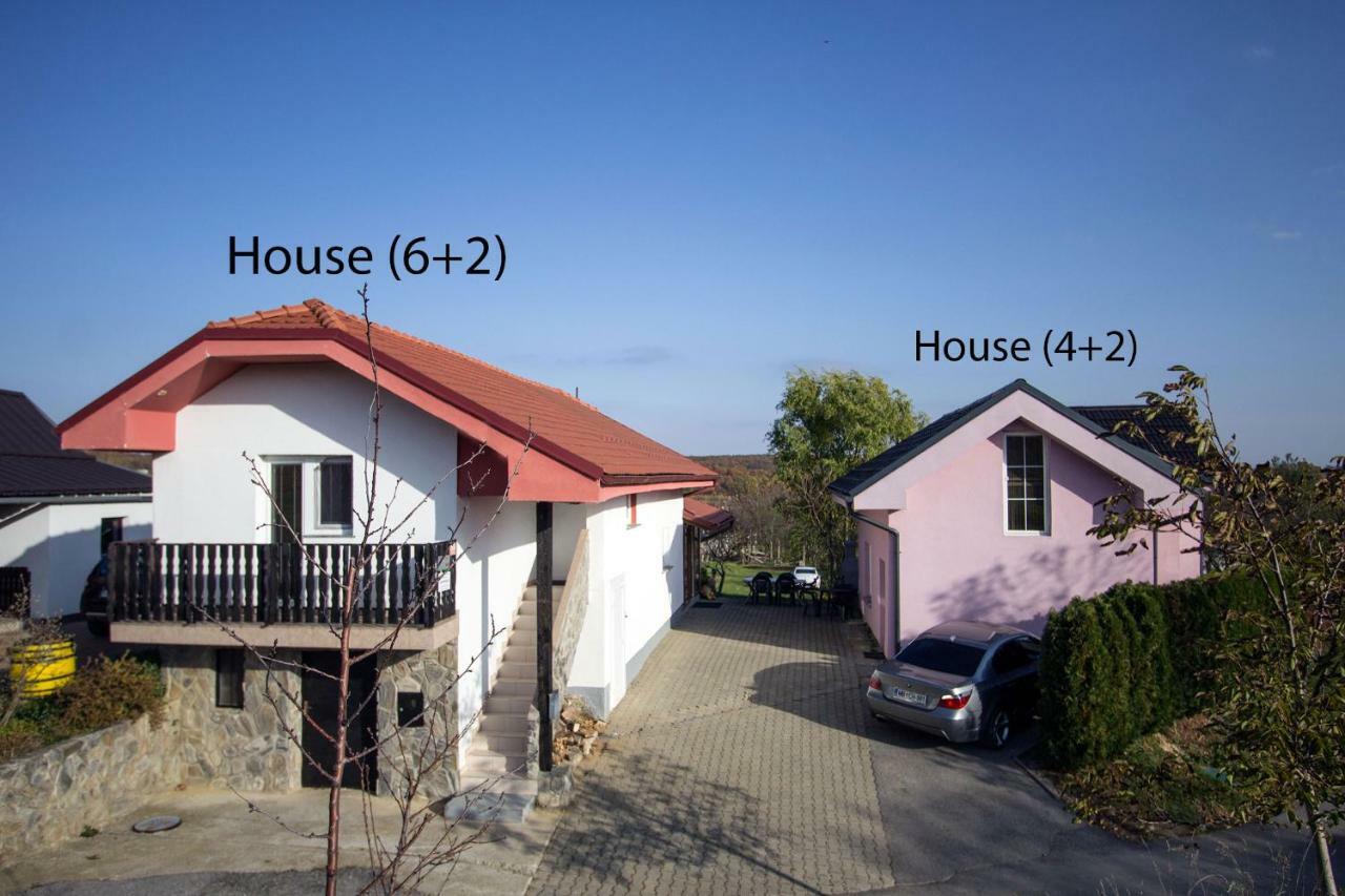 Holiday Home Janko Bogojina Exterior foto