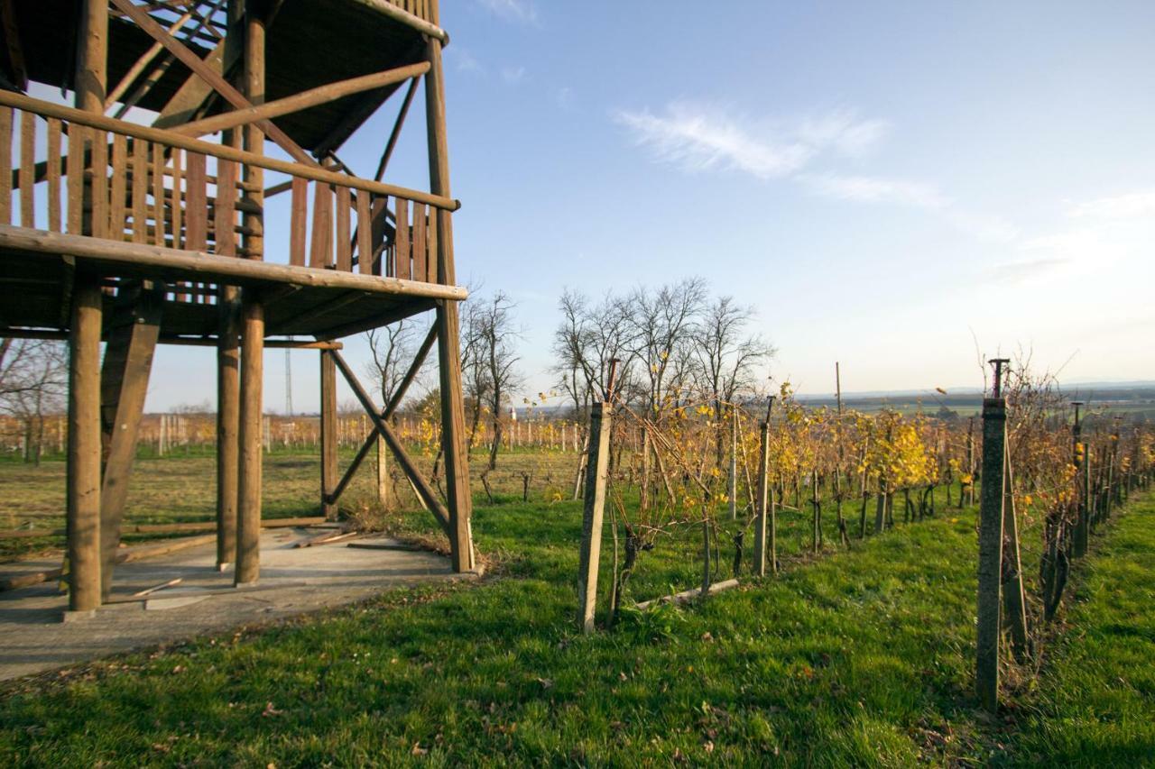 Holiday Home Janko Bogojina Exterior foto