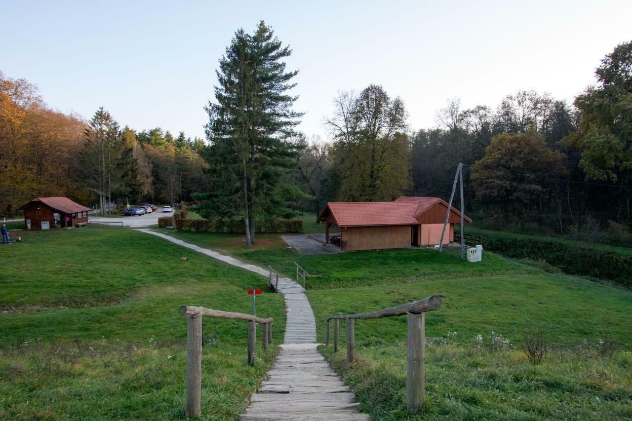 Holiday Home Janko Bogojina Exterior foto